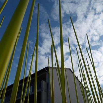  | Stadt Schilf (city reed)