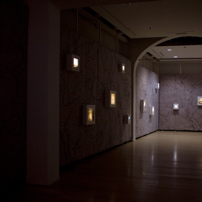  | PHYSIS | i codici dell&rsquo;invisibile - installazione a parete