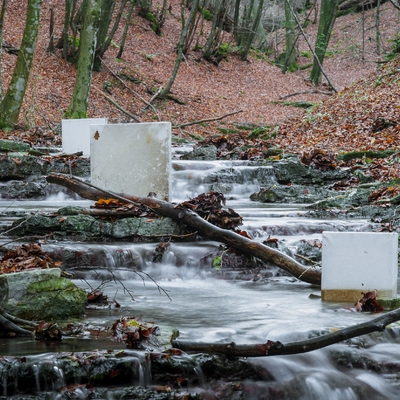  | PHYSIS | i codici dell&rsquo;invisibile - installazione ambientale