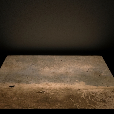  | physis - i codici dell&rsquo;invisibile NATUROGRAFIA 5 SPAZIO 43.3319942&rdquo;N, 11.994774&rdquo;E TEMPO 14.10.2016 - 28.12.2016