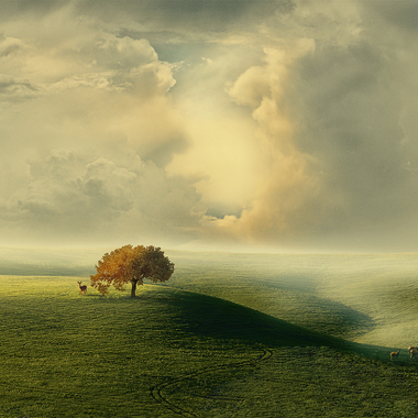 ALESSANDRA PIASECKA | EDEN