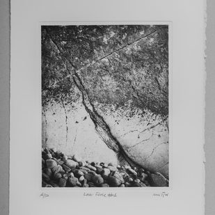  | Low tide #1