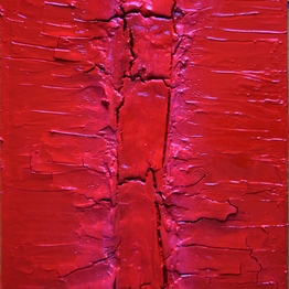 Concetta Vernuccio Artista | Rosso Spina