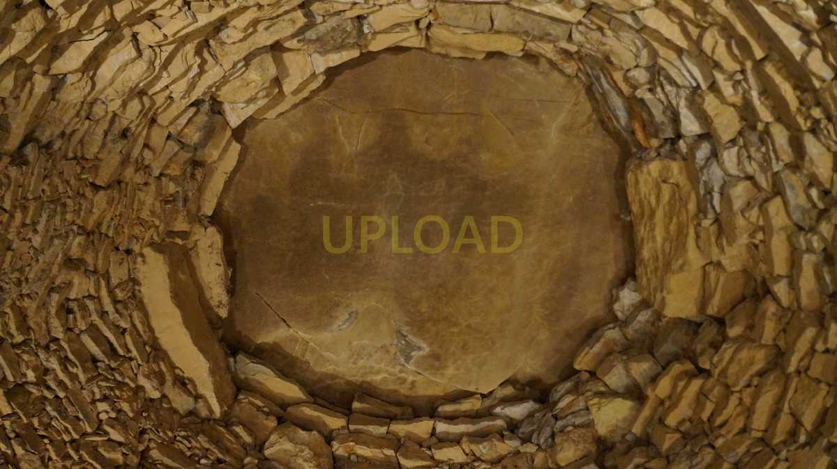  | UPLOAD