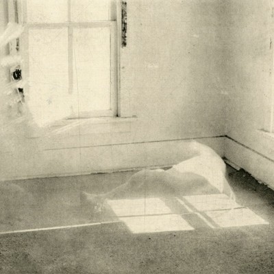  | Window Cloak v.III (Monoprint)