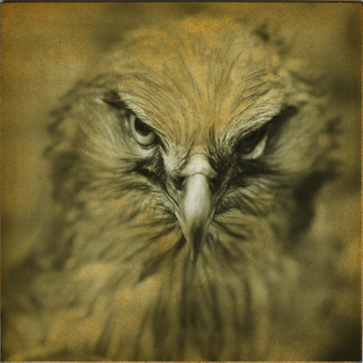  | #36 istanti in un palmo di mano