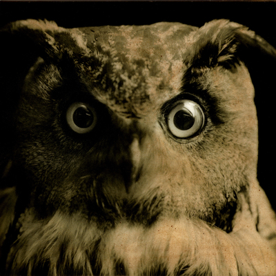  | #40 istanti in un palmo di mano