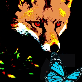  | LA VOLPE E LA FARFALLA