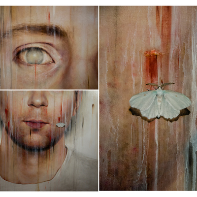  | Particolari dell&rsquo;opera in concorso: CARNIFEX (ennomus)