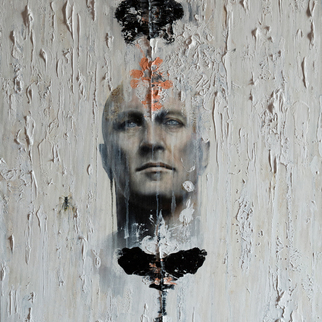  | CARNIFEX (vespidae)