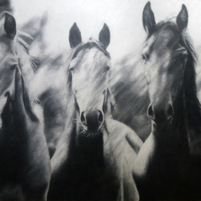 | HORSES
