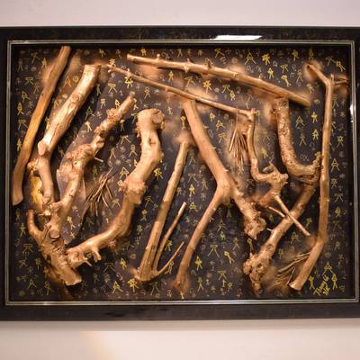  | Xylella degli ulivi