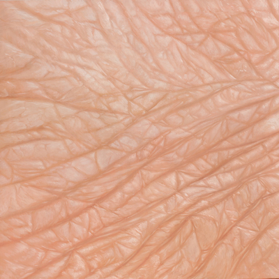  | Skin #6