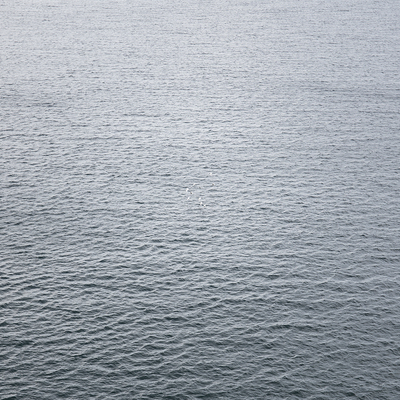  | Insula