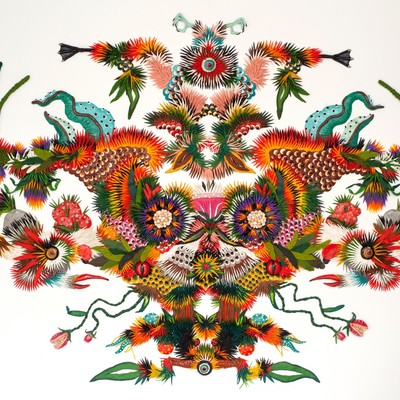 | La Selva de Rorschach