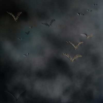  | stormo (serie disegno spaziale)