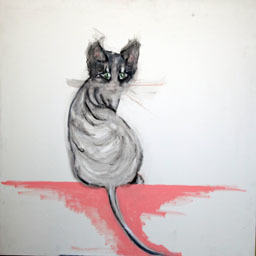  | il gatto Tito