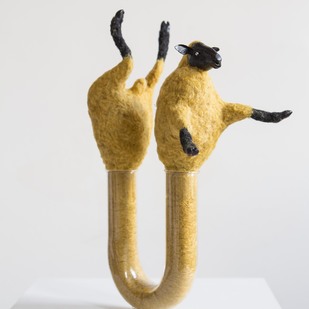  | cleaner-pipes sheep