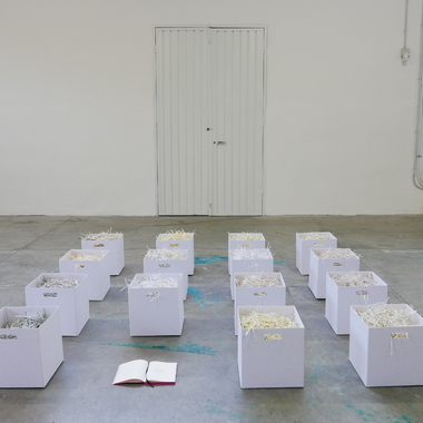 Alice Padovani | Reminescence bump