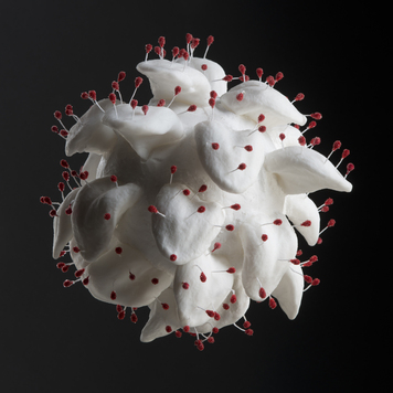 Annette Goodfriend | Tongue Ball