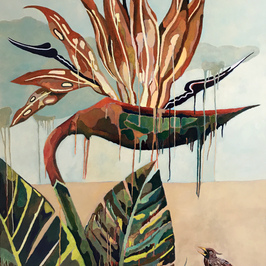  | Bird of Paradise