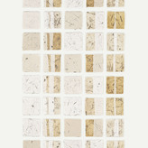 Charlotte Royle | Tree Lines