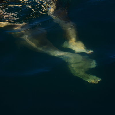 | un corpo umano che affonda nel mare blu