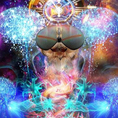  | Synchronicity