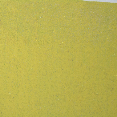 Federico Severino | Dal paesaggio solo il verde