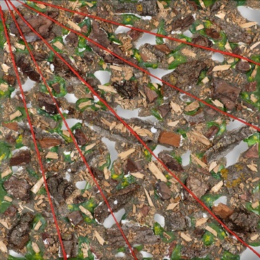 Francesca Guetta | La natura imbrigliata IX