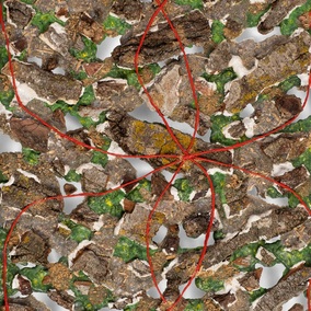  | La natura imbrigliata VIII