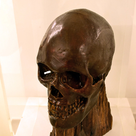  | Skull