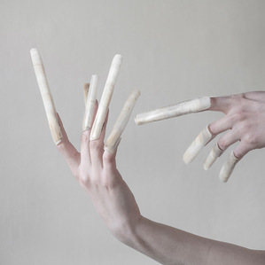  | ANFIBIA (foto 1)