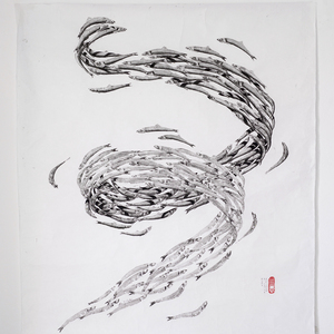 Gyotaku Levante | Spirale di acciughe dal basso