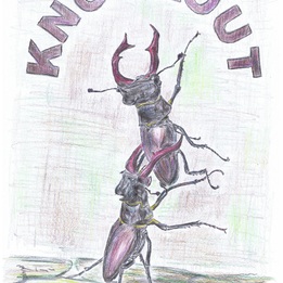 HavliT | Knockout