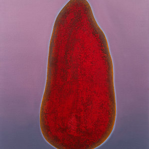 Heikedine Günther | Core No. 317