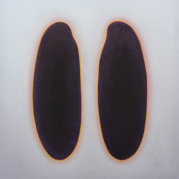 Heikedine Günther | Core No. 330