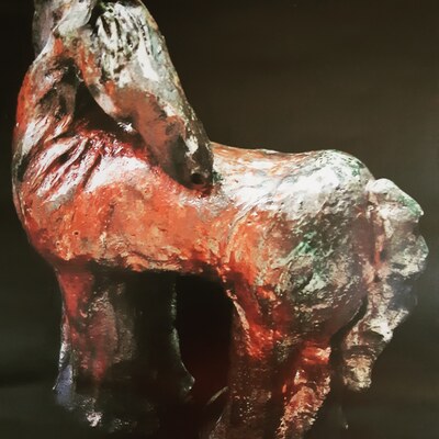  | CAVALLINO ROSSO