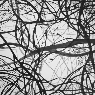  | Connessioni tra neuroni