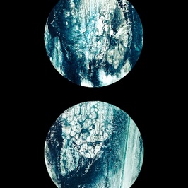  | Midori/ Gemini