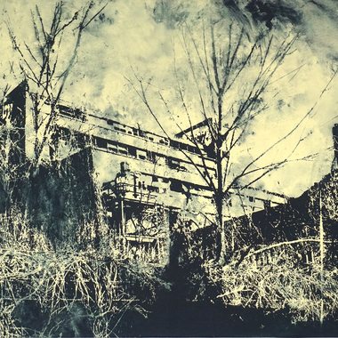 Petra Polli | FASZINIEREND della Serie URBAN NATURE