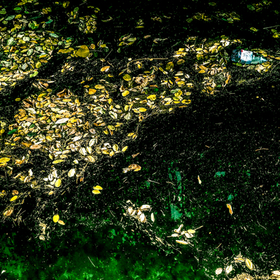  | qui pianeta terra