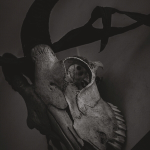  | Beholder - L&rsquo;Osservatore