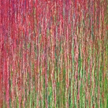 Schmid Franziskus | Bipolar Pink Green Flow