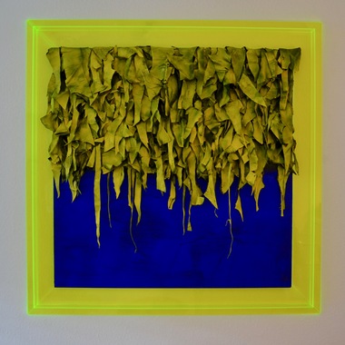 STEFAN GODECKI | JARDIN MAJORELLE