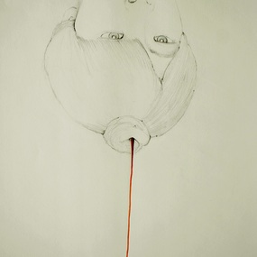  | Line/fiori nuovi