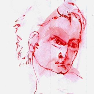  | studio di volto