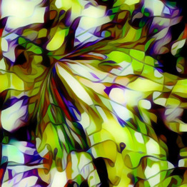  | Leaves on the Wind