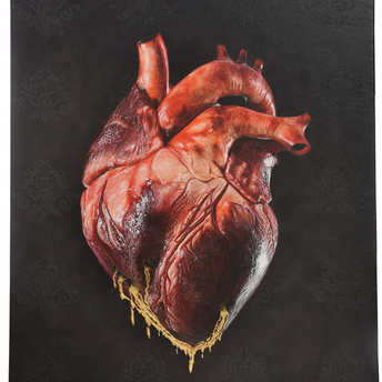  | I cuori sopravvivono