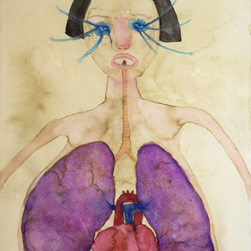  | Tavola anatomica